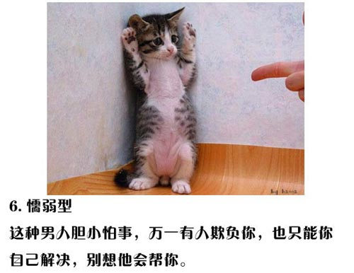 ͼ�Ľ�˵���������ܼ�ʮ������ 