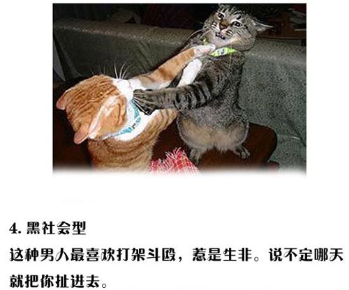 ͼ�Ľ�˵���������ܼ�ʮ������ 