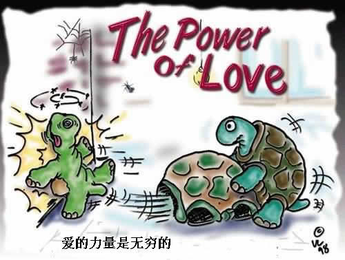 QQ�ռ���־��ʮ�˽���ЦͼƬ
