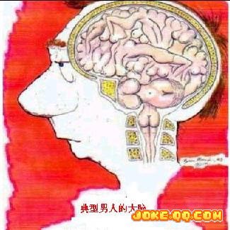 QQ�ռ���־��ʮ�˽���ЦͼƬ