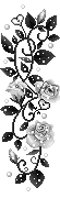 QQ�ռ�Ư������ͼ����ز�