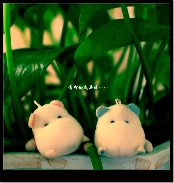 ��ͨ��пɰ�С���������޸���ǩ��ͼƬ_������Զ��һ��_www.qqtequ.com