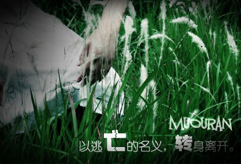 ������QQ�ռ���ˬϵǩ��ͼƬ_ϰ�����Լ�һ���˵ȴ�_www.qqtequ.com