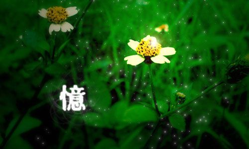 �ռ��ĸ���ǩ��������ͼƬ��ȫ_���ָ���ǩ��ͼƬ_www.qqtequ.com