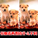 ��Ц���˽ڶ��QQ�����ȫ_�ռ��ĸ�ЦQQͼƬ��������_www.qqtequ.com