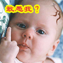 ��Ц���˽ڶ��QQ�����ȫ_�ռ��ĸ�ЦQQͼƬ��������_www.qqtequ.com