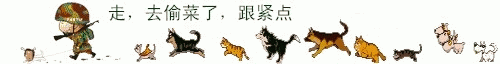����QQũ����ЦͼƬQQ�����ȫ_QQũ��͵�˱�������_www.qqtequ.com