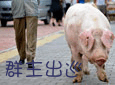 �ܸ�Ц��QQȺ����ر���QQ��������_��Ц��QQ�����ȫ_QQ�ռ�����_www.qqtequ.com
