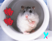 �ܸ�Ц��QQȺ����ر���QQ��������_��Ц��QQ�����ȫ_QQ�ռ�����_www.qqtequ.com