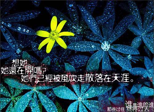 QQ�ռ����������ǩ����ͼƬ