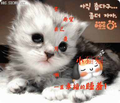��а���QQ�ռ�ͼƬ,��ϣ�����Ҹ��Ļ���!