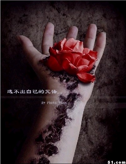 QQ�ռ������ǩ��ͼ-����