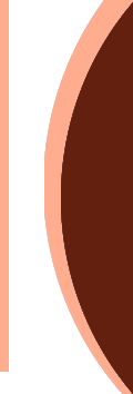 ���������м�������ױ�ݵ�����
